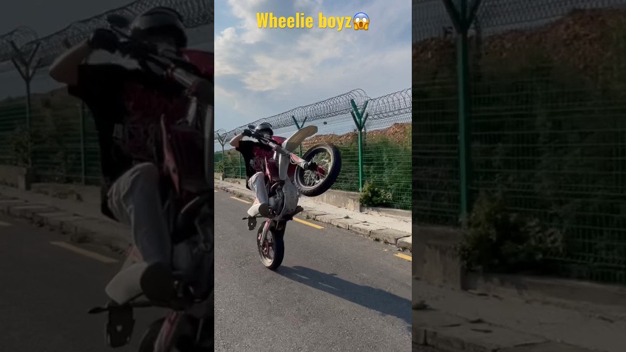 Legalize Wheelie❤️ 
