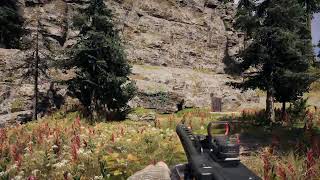 22/6/20_2 Live Farcry 5