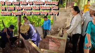 [TÌM RẮN GIÚP NGƯỜI] Ở Bến Tre, phát hiện con Rắn nhiều khoang tấn công vườn nhà | TGSB #892