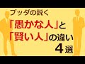 【ブッダの教え】「頭いい人」と「頭悪い人」はココが違う