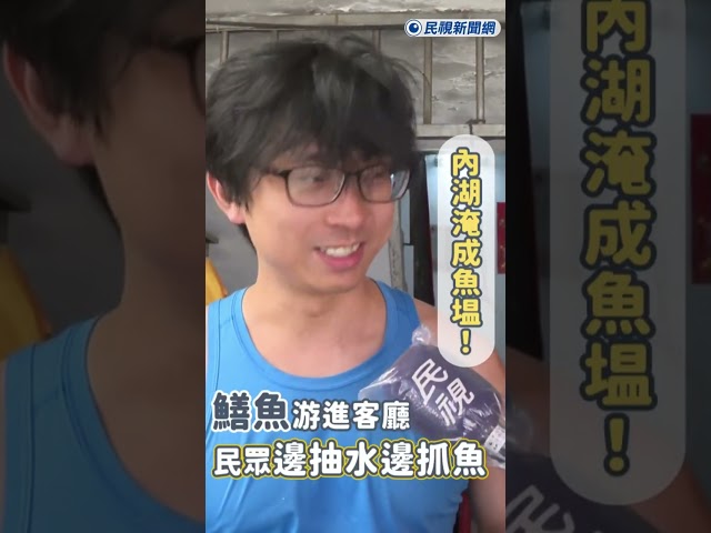 快新聞／內湖淹成魚塭！鱔魚游進客廳　民眾邊抽水邊抓魚