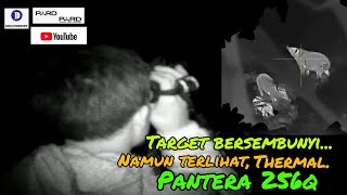 Super Target, Hunting Pests at Night Using the Pantera 256Q Thermal Camera. Eps 27