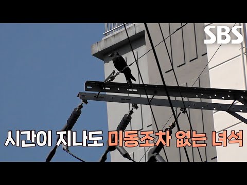까마귀, 오직 하리만 겨냥한 미스터리한 <strong>적대감</strong> 드러낸 이유!