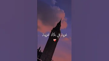 غربة في بلاد غريبة 