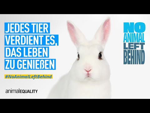 No Animal Left Behind: Recht auf psychische Gesundheit