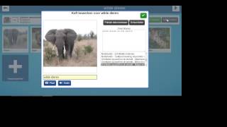 Begrippen OMNIDU met hulp van Flickr & Freesound