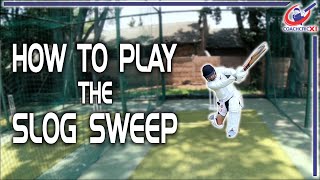 How to SLOG SWEEP | Batting Tips and Basics | Cricket Coaching screenshot 5