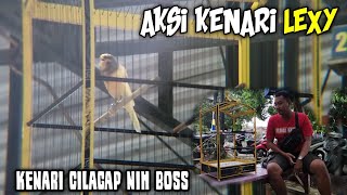 COBA PAKE CARA INI !! SETTINGAN KENARI PAS HARI LOMBA