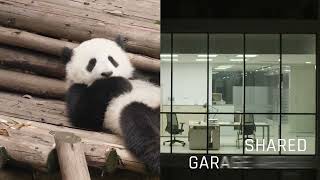 Energo Sistem Suceava - Join On