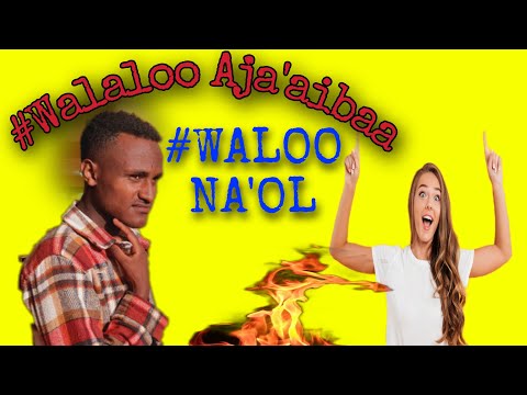 3 ANGELS MESSAGE MEDIA Walaloo Haara Fi Miidhagaa 