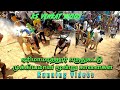 Nimmiyampattu junior pollathavan  ambur usainbolt  padur spotout runnings ks venkat vlogs