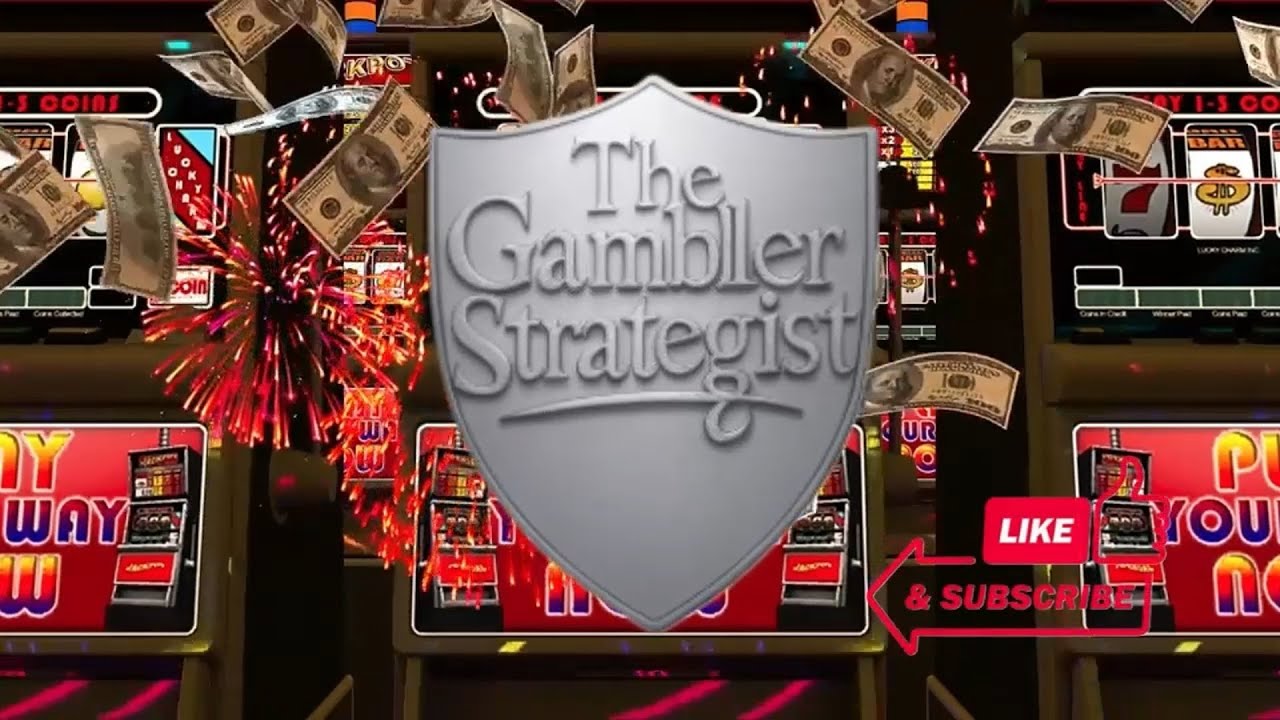 Slotspalace casino pelikokemus videosta