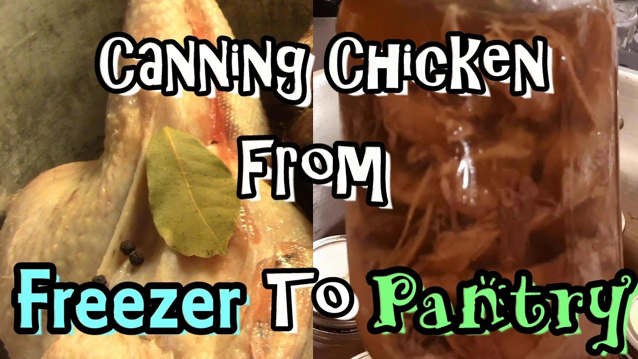 Canning Chicken! From Freezer To Pantry!