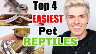 Top 4 EASIEST Pet Reptiles!