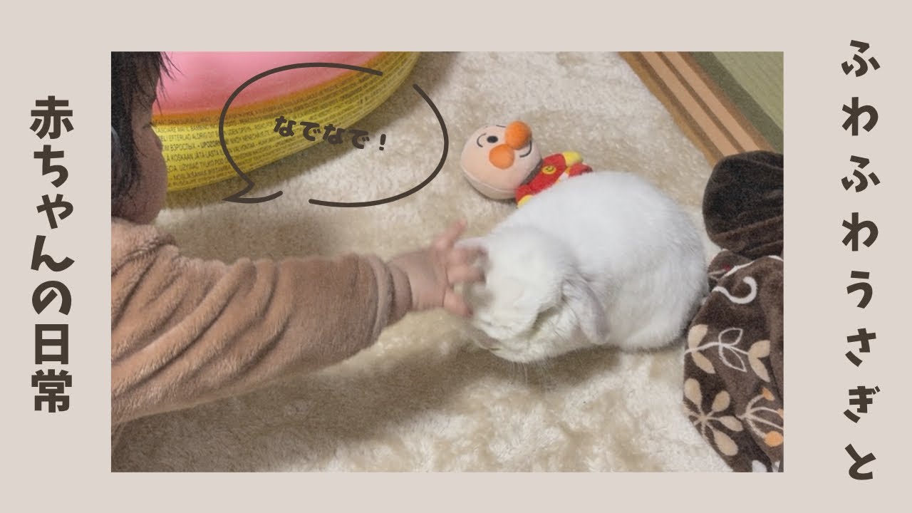 ふわふわうさぎと赤ちゃんの日常 - YouTube