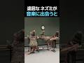 退屈だったネズミたちが音楽に出会うと
