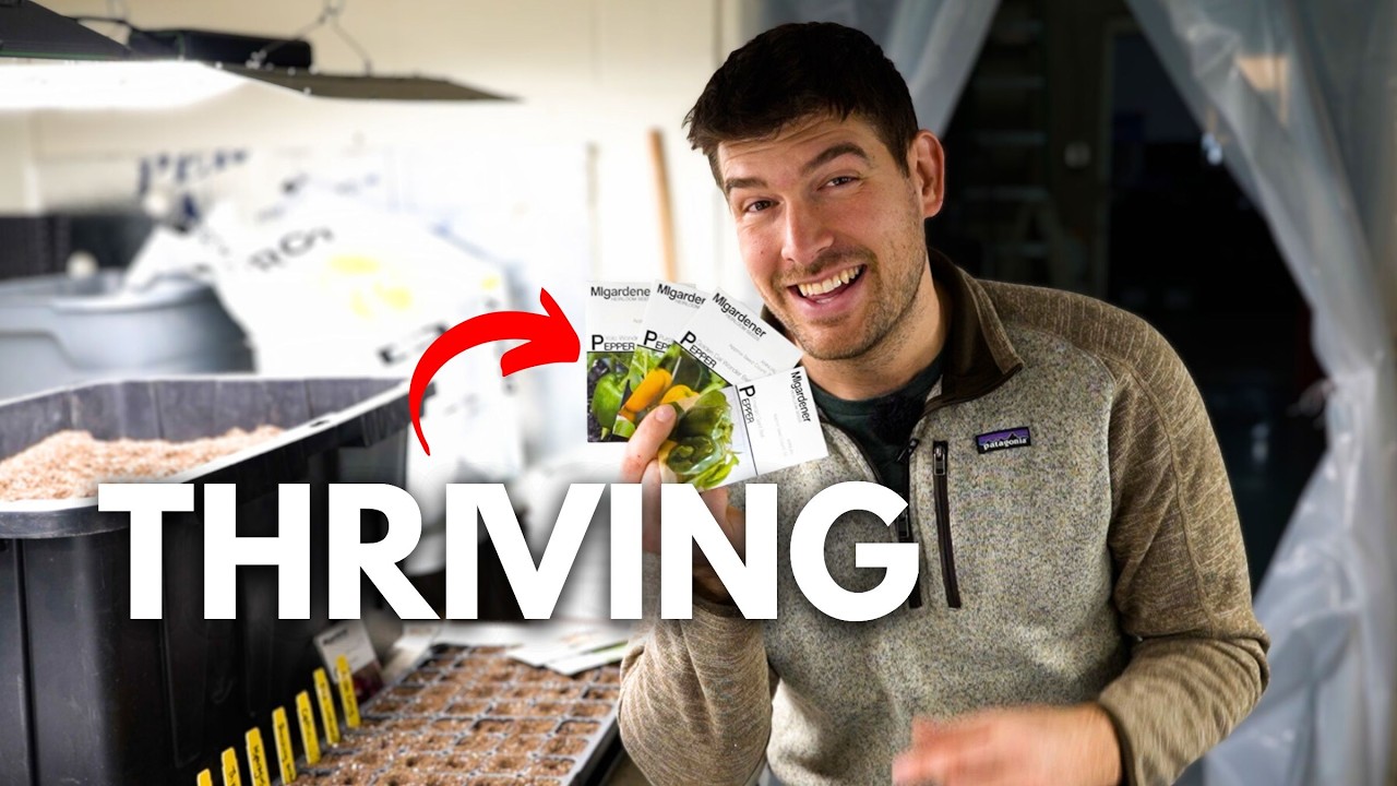 Your Seedlings Will Love This Simple WORRY FREE Watering Setup