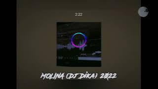 Download lagu MOLINA (DJ DIKA REMIX) 2022 _LATIN MIX_#laguacara