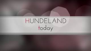 HUNDEELEND today