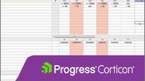 Corticon Revealing Rule Problems