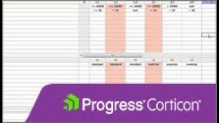 Corticon Revealing Rule Problems