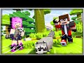 ALEX'S MOBS: OVADA NOS GUAXININS - ALEXS'S MOBS CITY EP.2