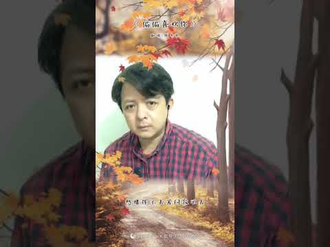 偏偏喜歡你