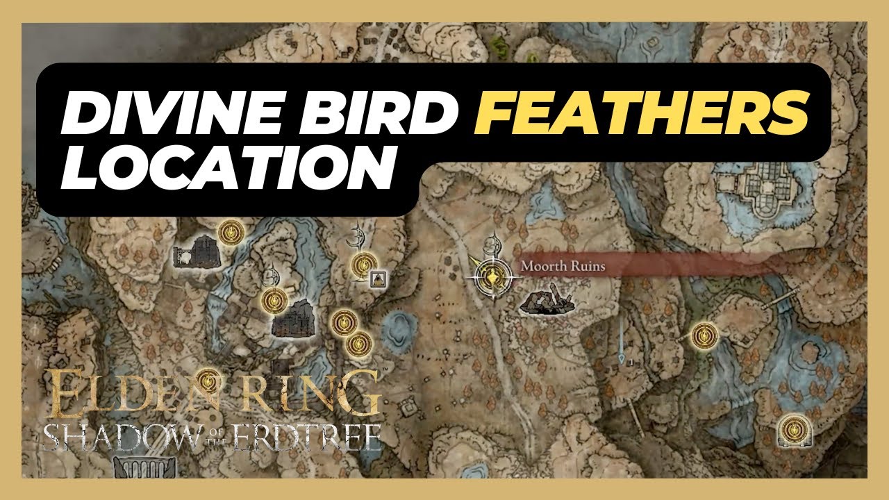 How to Get Divine Bird Feathers (Location) - Elden Ring: Shadow of the Erdtree