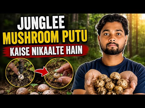  Jungle mein photo kaise nikaalte hain 🤔