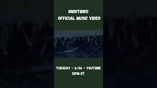 The Official Music Video for Nightbird Drops on Tuesday!