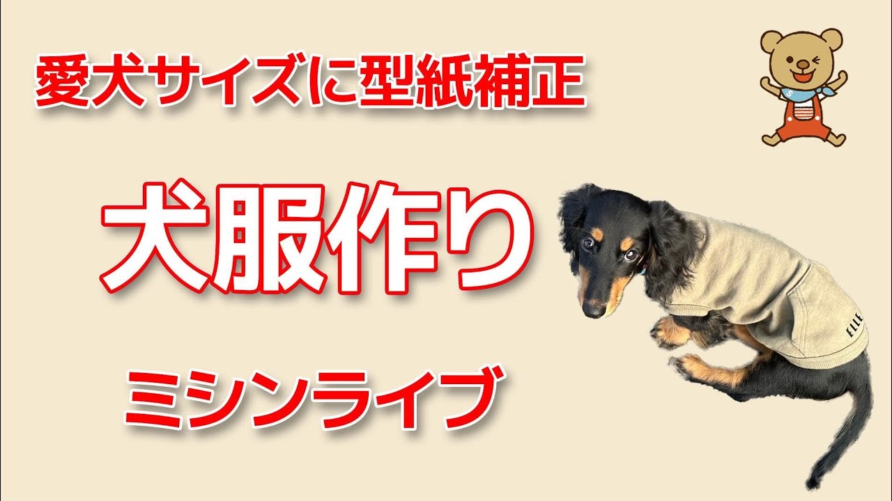 てん汰。様♡Summer♡メッシュ♡オーダー♡ハンドメイド♡犬服♡ てん汰。様♡Summer♡メッシュ♡オーダー♡ハンドメイド♡犬服♡