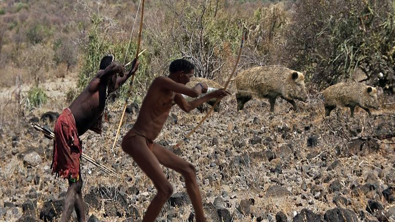 Hadzabe tribe Amazing Hunting Skill