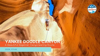 Yankee Doodle Canyon  A Beautiful Beginner Canyoneering Route Near Zion, Utah