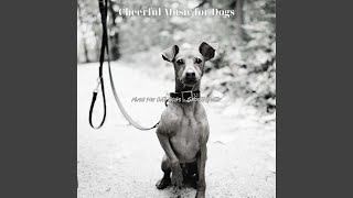 Simplistic Backdrops for Pups