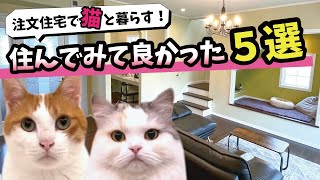 猫の下僕が全力で建てた猫と暮らす家住んでみて良かった所選【関西弁でしゃべる猫】 【猫アテレコ】