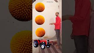 All Rounding mustard yellow kadambas to Alto, Rollar, Jcb & Tractor - Vehicles names magic video