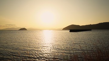 短編映画「赤い手帳と日曜日」