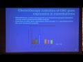 Fak inhibitor vs6063 target stem cells by dr paul baas