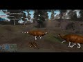 Maiasaura Nesting Video With Friends