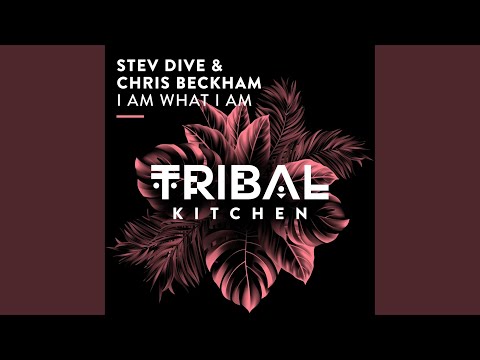 Stev Dive, Chris Beckham - I Am What I Am (Extended Mix)