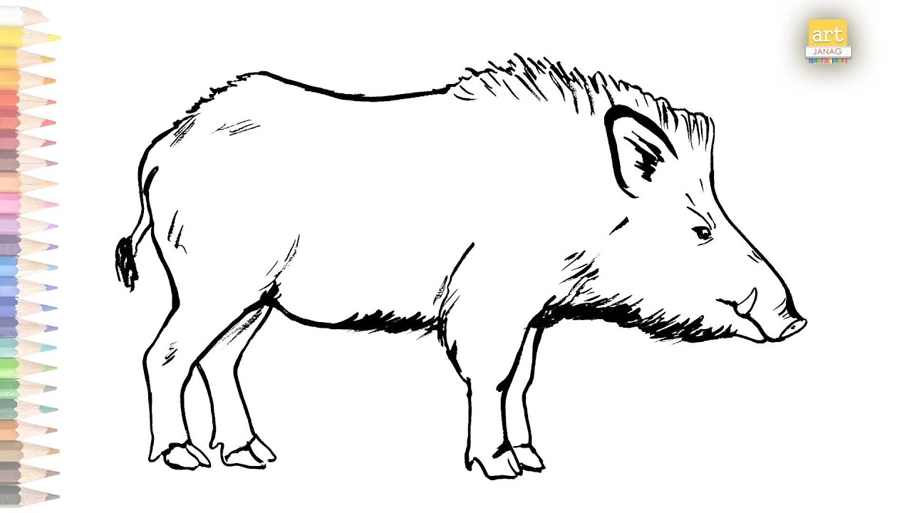 How To Draw A Wild Boar Face