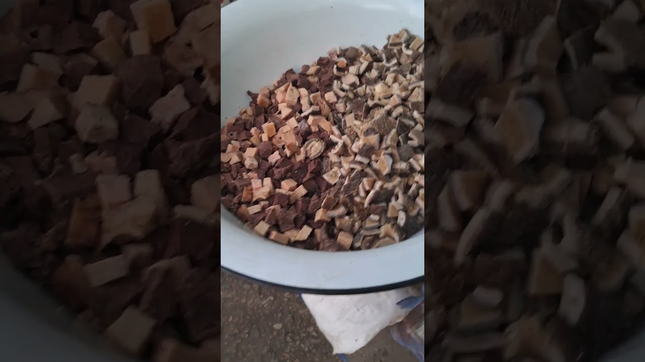 рацион питания для кавказской овчарки. питание кавказца