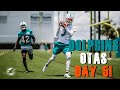 Miami Dolphins 2023 OTAs Day 5!