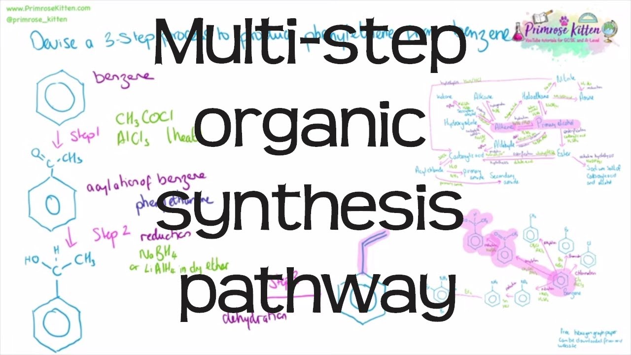 phd in organic chemistry synthesis