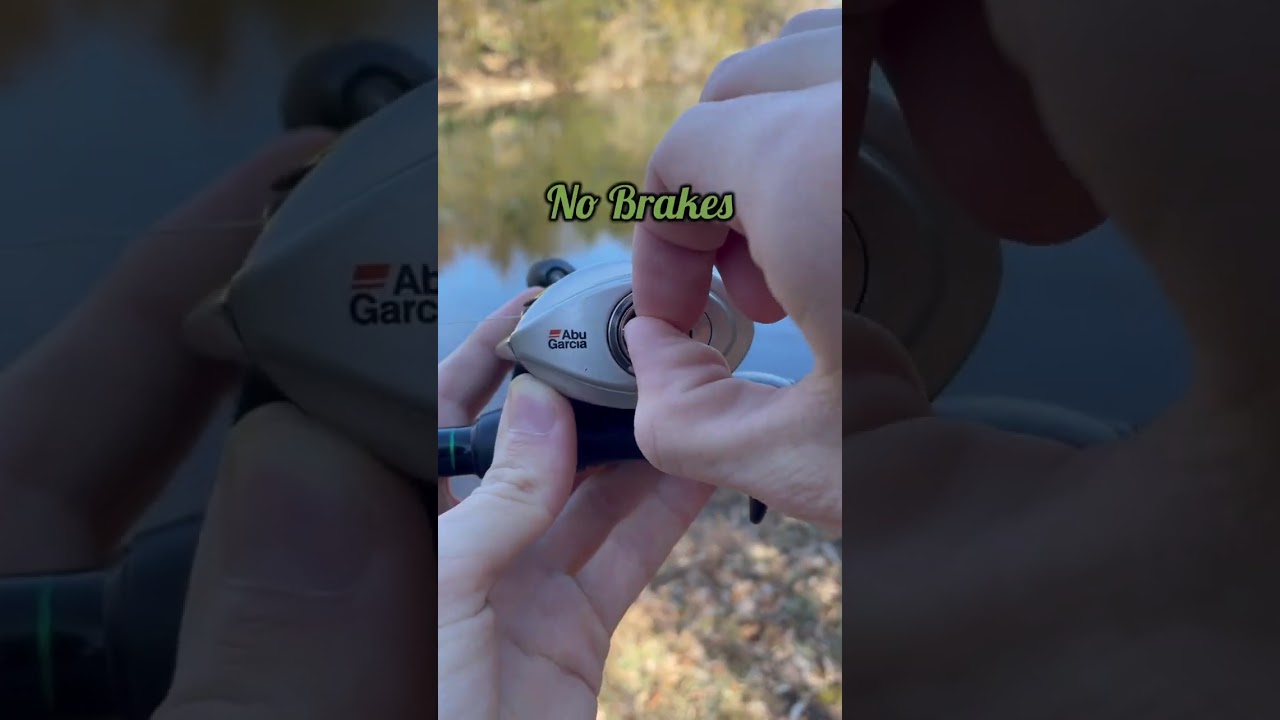 Bird's Nest Life Hacks 101 🪺🎣💡