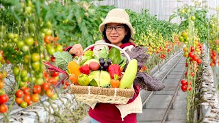 From Dream to Reality: My Bountiful Harvest in the Garden I Always Wanted