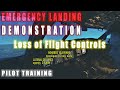 Flying and Landing the Boeing 737 with the Differential Thrust ONLY | Pilot training | FFS #aviation