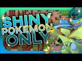 Beating Pokemon Moon Emerald With Only Shinies!