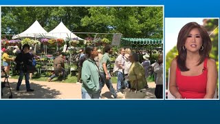 Flower Mart is celebrating 87 years at the National Cathedral