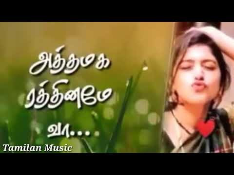 New Cut Love Gana Whatsapp Status Video Song In HD Tamilan Music